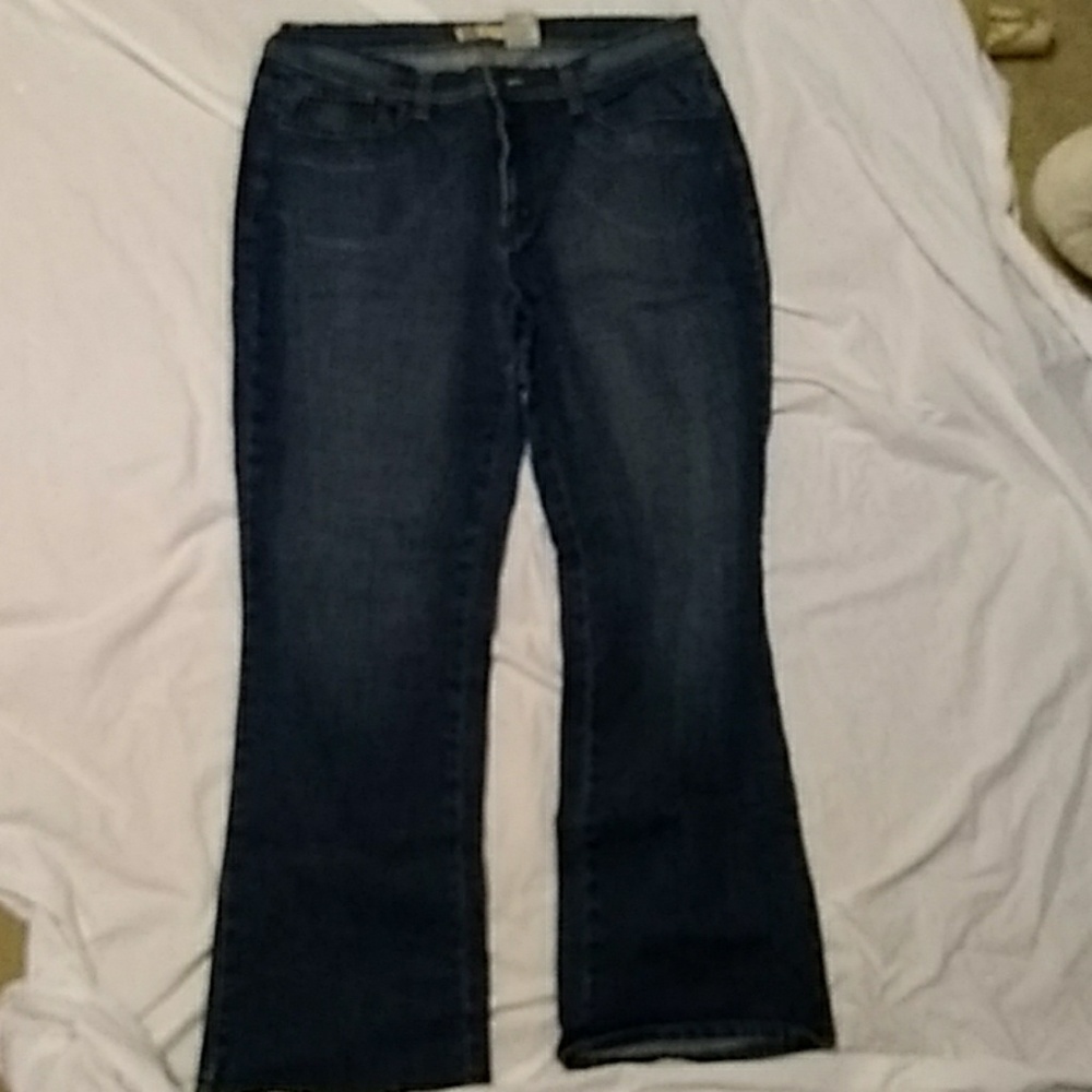 Faded Glory stretch denim jeans sz 16